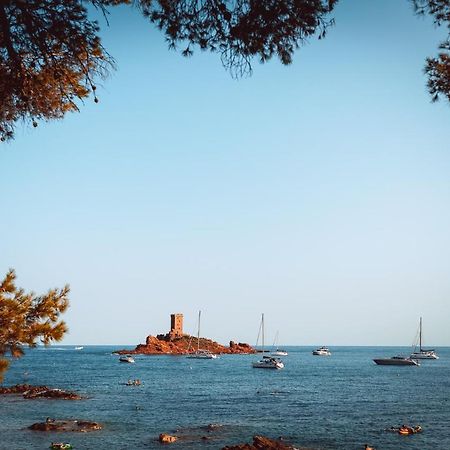 Plage A 200 Metres. Vue Mer Et Esterel ! Renove Διαμέρισμα Saint-Raphaël Εξωτερικό φωτογραφία